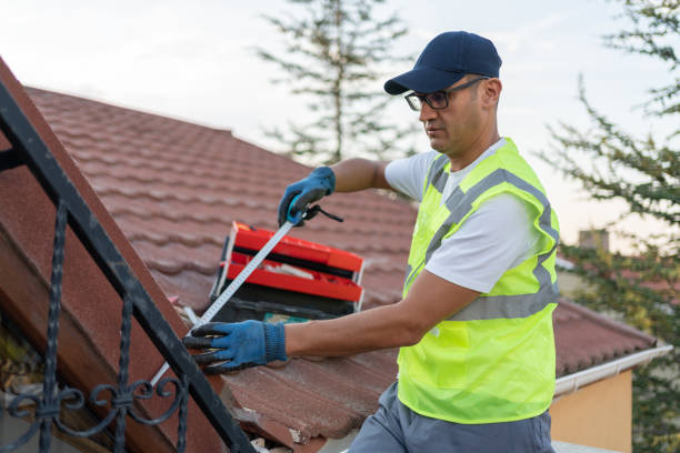 Best Radiant Barrier Insulation  in Lake Helen, FL